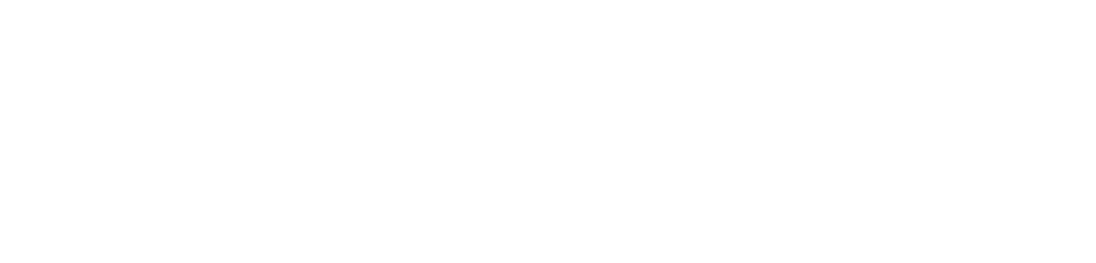 25_CustomerHD_LogoWithoutTagline_Horizontal_White_2x